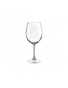 COPA VINO SYRAH HOSTELVIA 47CL 2