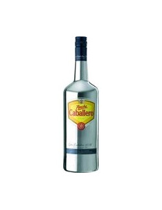 PONCHE CABALLERO 2