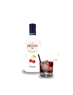 GIN PRUNUS PREMIUM PADOM CLUB 2