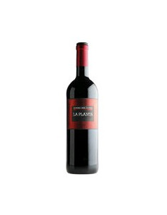 VINO LA PLANTA DE ARZUAGA 2