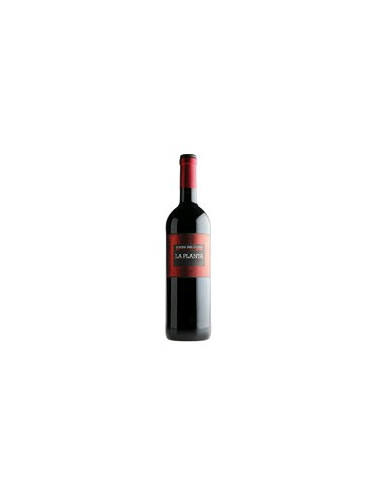 VINO LA PLANTA DE ARZUAGA