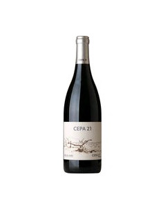 VINO CEPA 21 CRIANZA 2