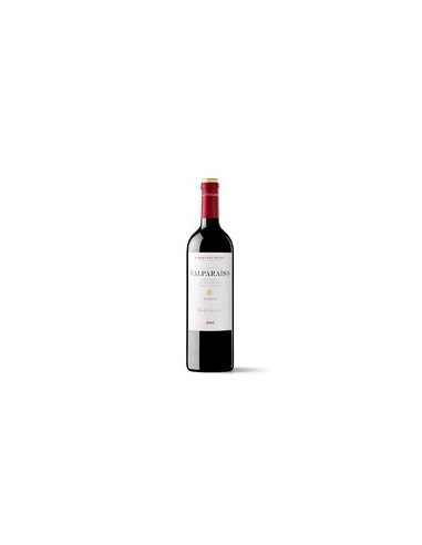 VINO VALPARAISO ROBLE