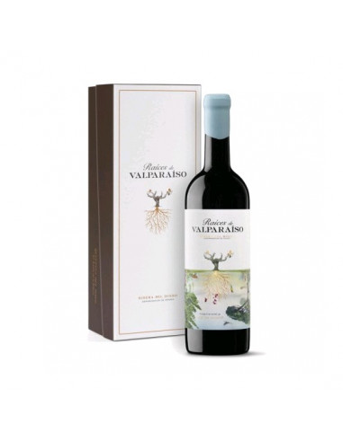 VINO RAICES DE VALPARAISO CON ESTUCHE