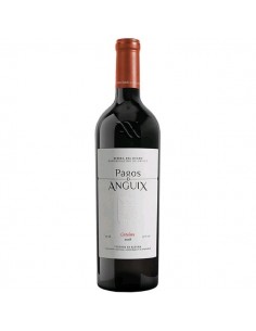 PAGOS DE ANGUIX COSTALARA 2019