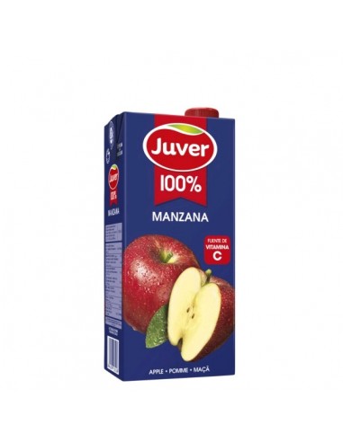 ZUMO JUVER PIÑA 100% BRICK