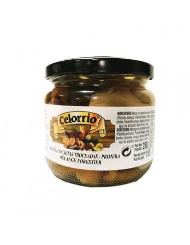 SETAS CELORRIO