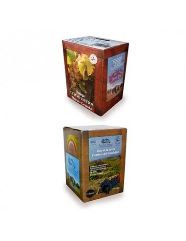 BODEGA CUATRO VIENTOS BAG IN BOX TINTO