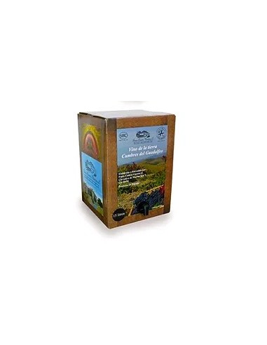BODEGA CUATRO VIENTOS BAG IN BOX TINTO
