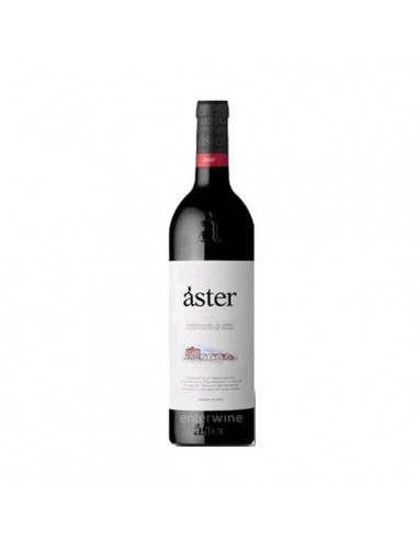 VINO ÁSTER FINCA EL OTERO 2018