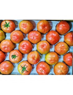 TOMATE ENSALADA EXTRA   €/KG