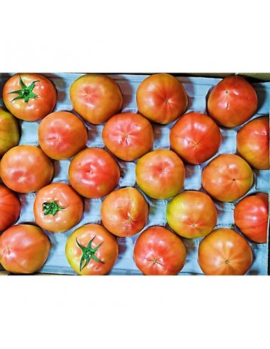 TOMATE ENSALADA EXTRA   €/KG