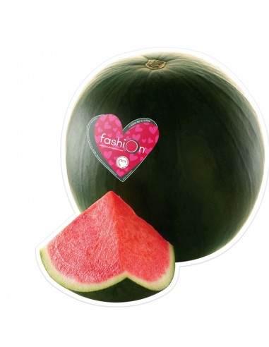 SANDIA FASHION I