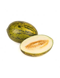 MELON PIEL DE SAPO I