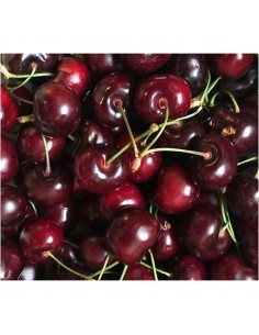 CEREZA I C30