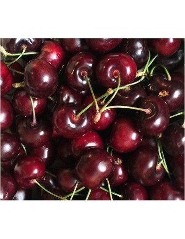 CEREZA I C30