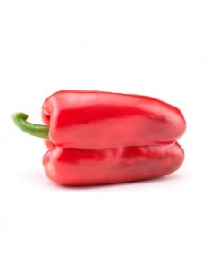 PIMIENTO LAMUYO ROJO I