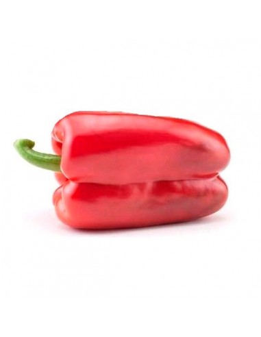 PIMIENTO LAMUYO ROJO I