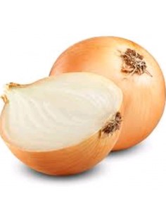CEBOLLA EN SACO