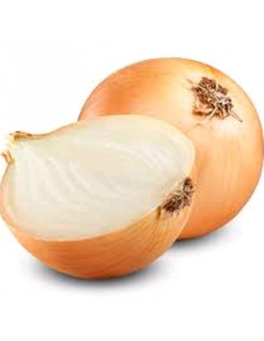 CEBOLLA EN SACO