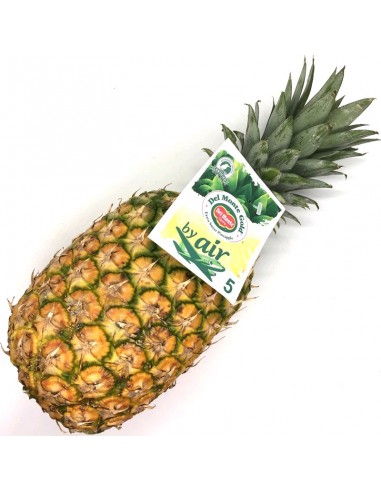 PIÑA DE MONTE