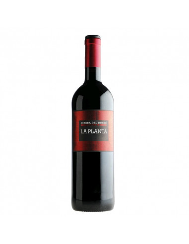 VINO LA PLANTA DE ARZUAGA