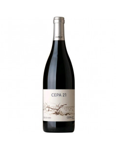 VINO CEPA 21 CRIANZA